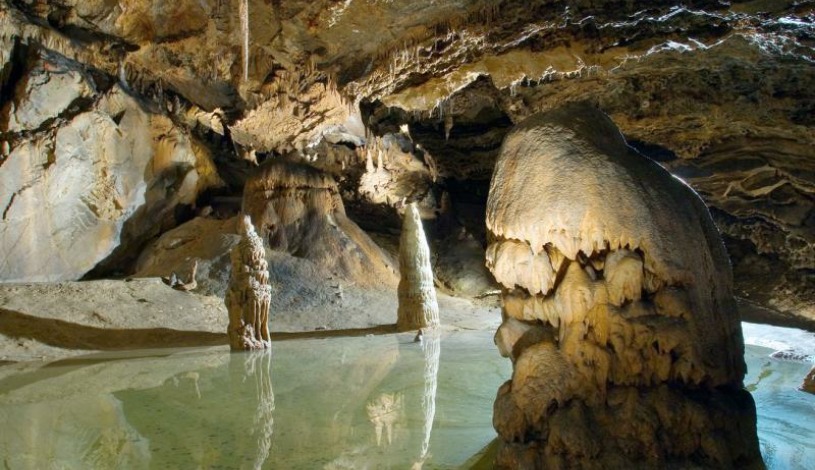 Hotel CROCUS **** Vysoké Tatry